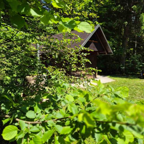 Glamping Fikfak — Bled — photo 3