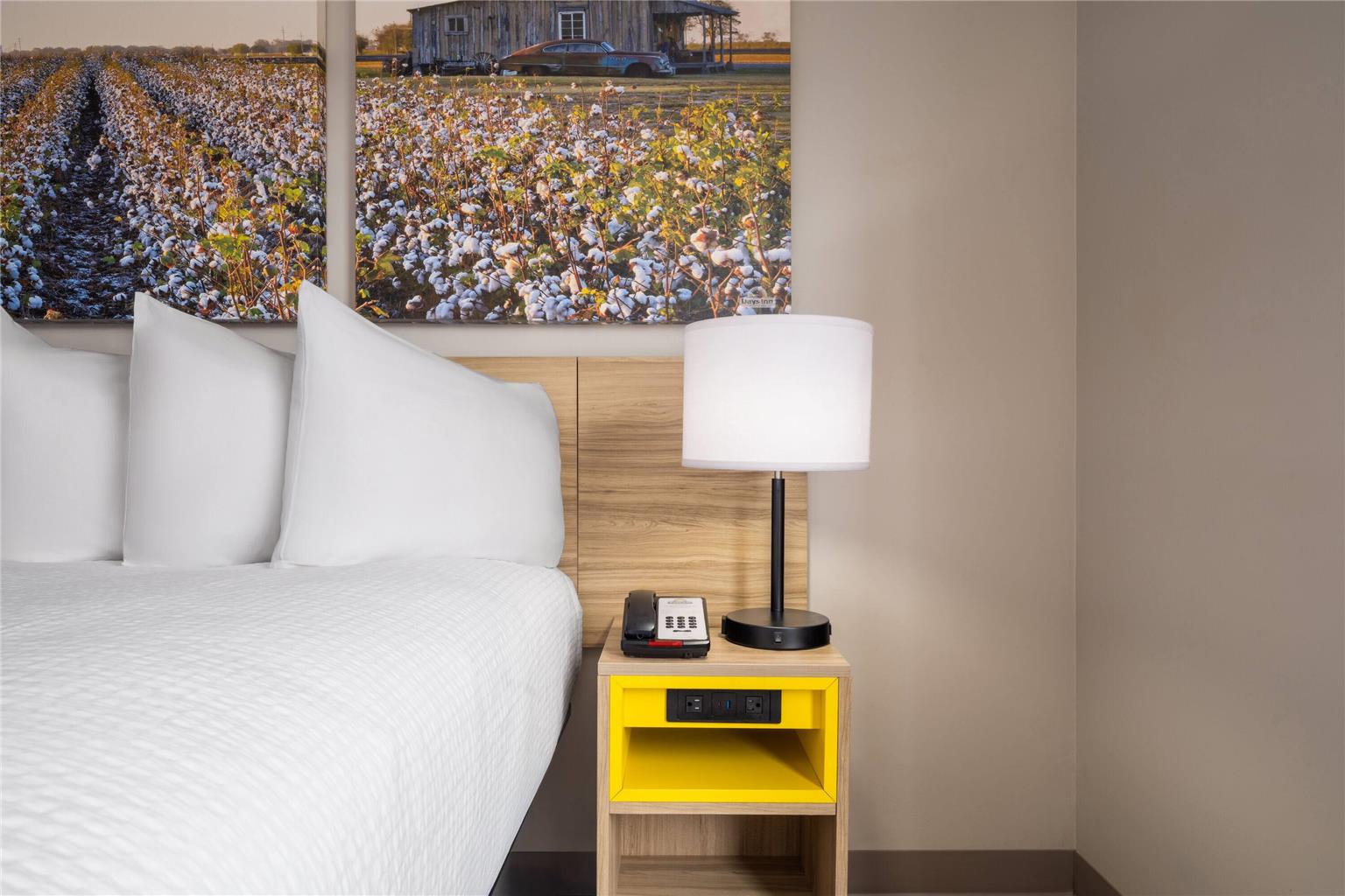 Days Inn by Wyndham Anderson - photo 10