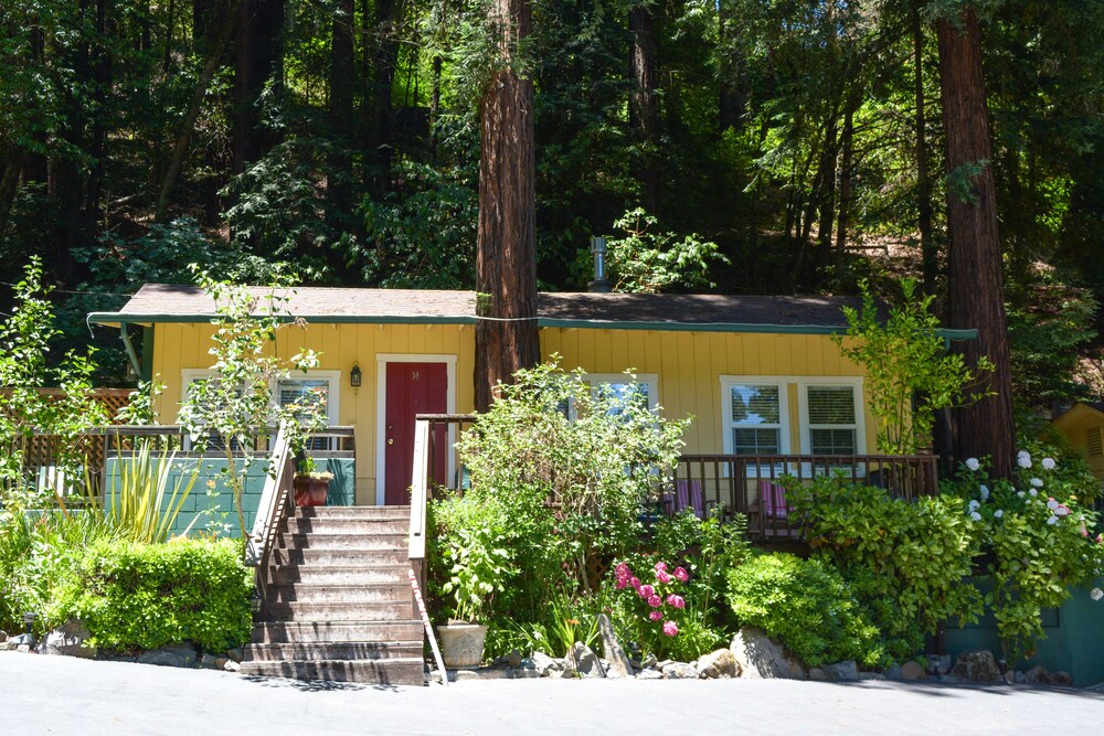 Fern Grove Cottages - photo 73