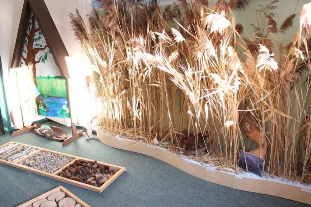 Children's play area - indoor