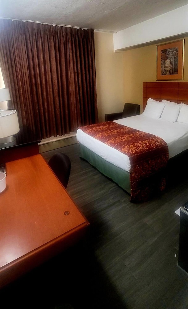 Jets Motor Inn - photo 15