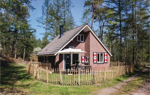 Dampol — Ommen