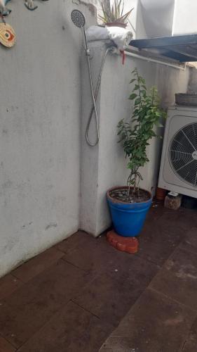 Aj Konukevi Müstakil Ev Dört Odalı — Ayvalik — photo 4