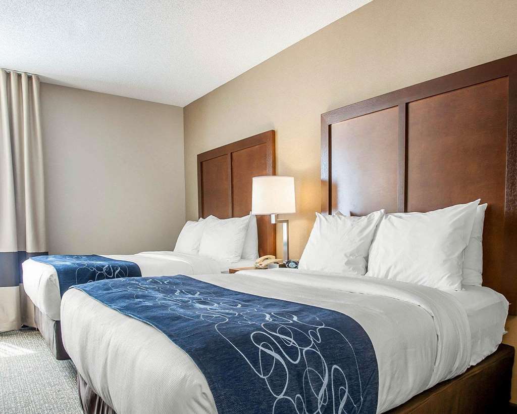 Comfort Suites West Warwick Providence - photo 32