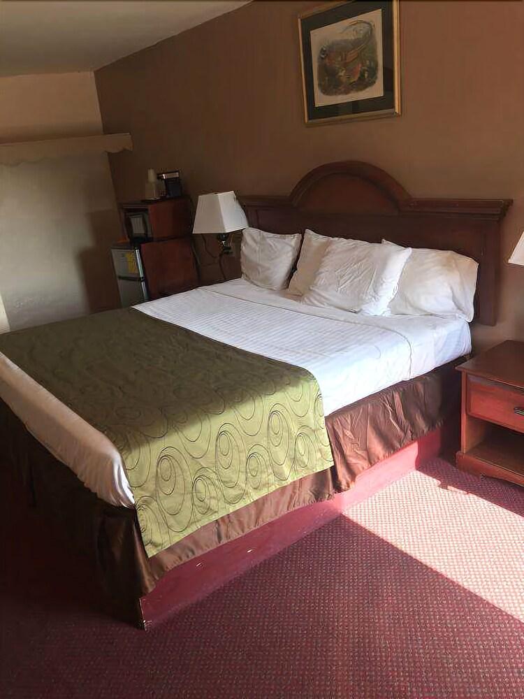Shamrock Motel - photo 12