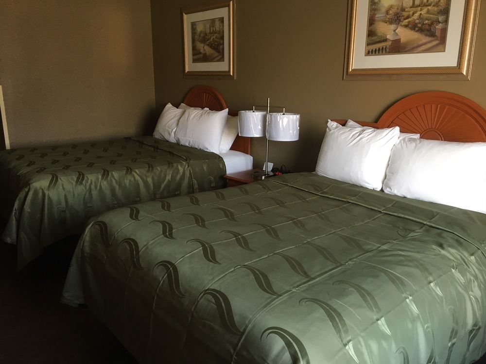 Quality Inn & Suites Lincoln near I 55 - photo 4