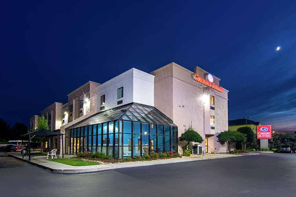 Comfort Suites Knoxville Airport - photo 41