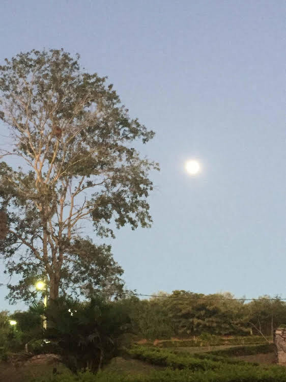 Winterville Flats & Bangalos — 4-Star Luxury Hotel in Gravata, Brasil