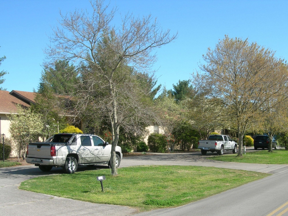 Baneberry Golf and Resort - photo 19