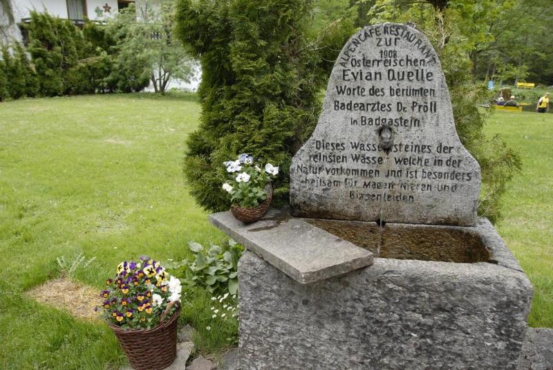 Hotel Alpenhaus Evianquelle