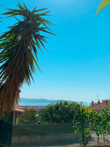Chez Anne - last minute hotel in La Ciotat