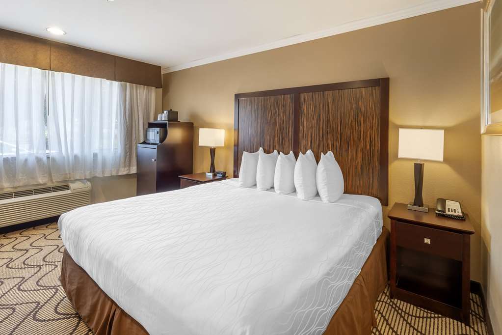 Best Western Plus Orchid Hotel & Suites - photo 41