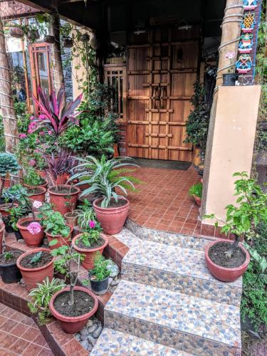 The Divine Hima in Dharamsala, India