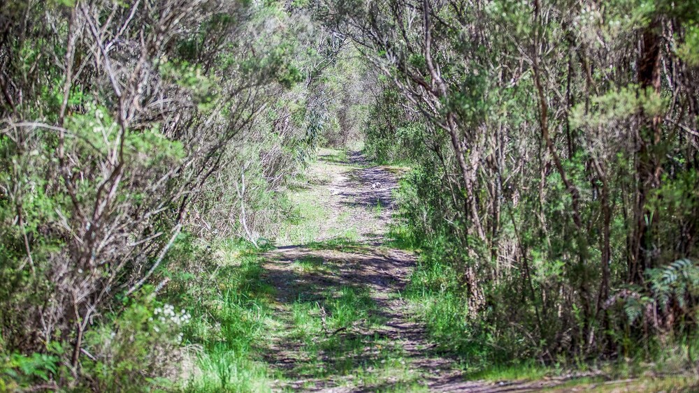 Red Hill Ridge in Dromana, Australia