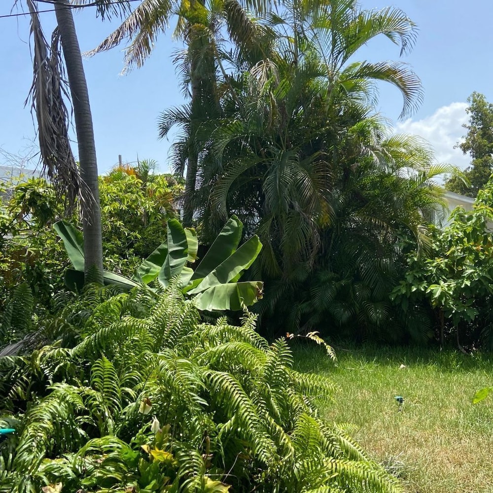 Eco Shared Gardenian - photo 24