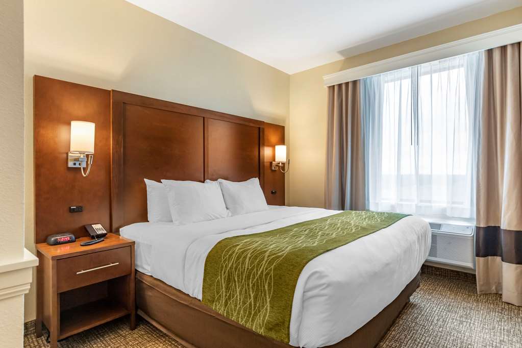 Comfort Suites San Antonio Ft. Sam Houston SAMMC Area - photo 15