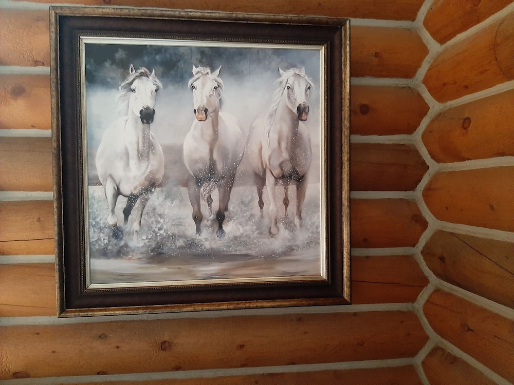 Cherokee mountain log cabin resort - photo 26