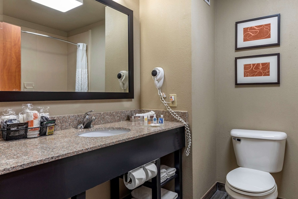 Comfort Inn & Suites Pauls Valley City Lake - photo 7