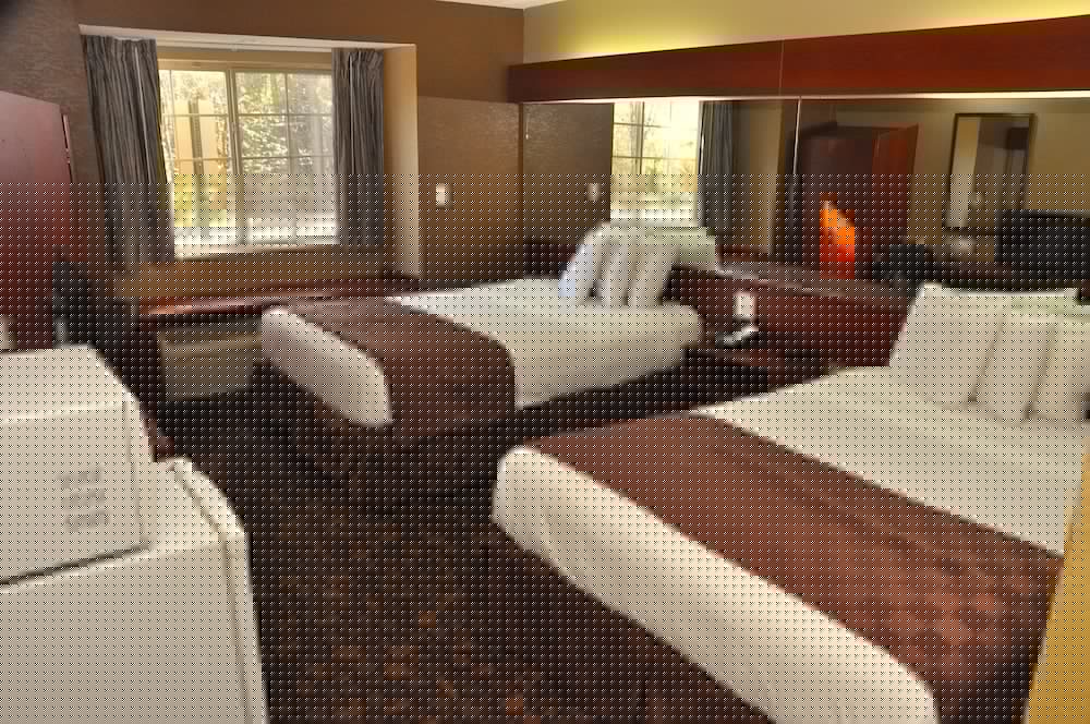 Microtel Inn & Suites by Wyndham Lithonia Stone Mountain - photo 13
