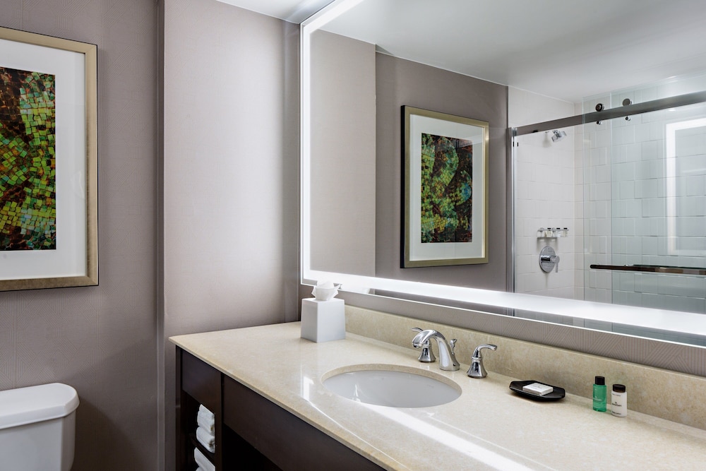 Sheraton Dallas Hotel - photo 24