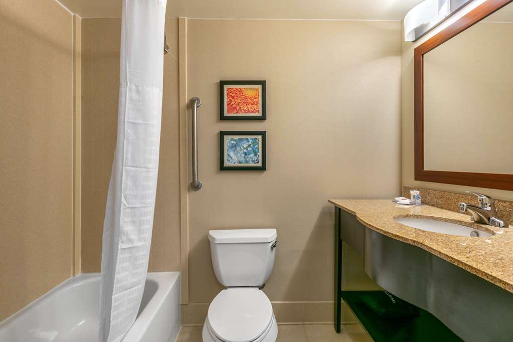 Comfort Inn & Suites Nashville Franklin Cool Springs - photo 18