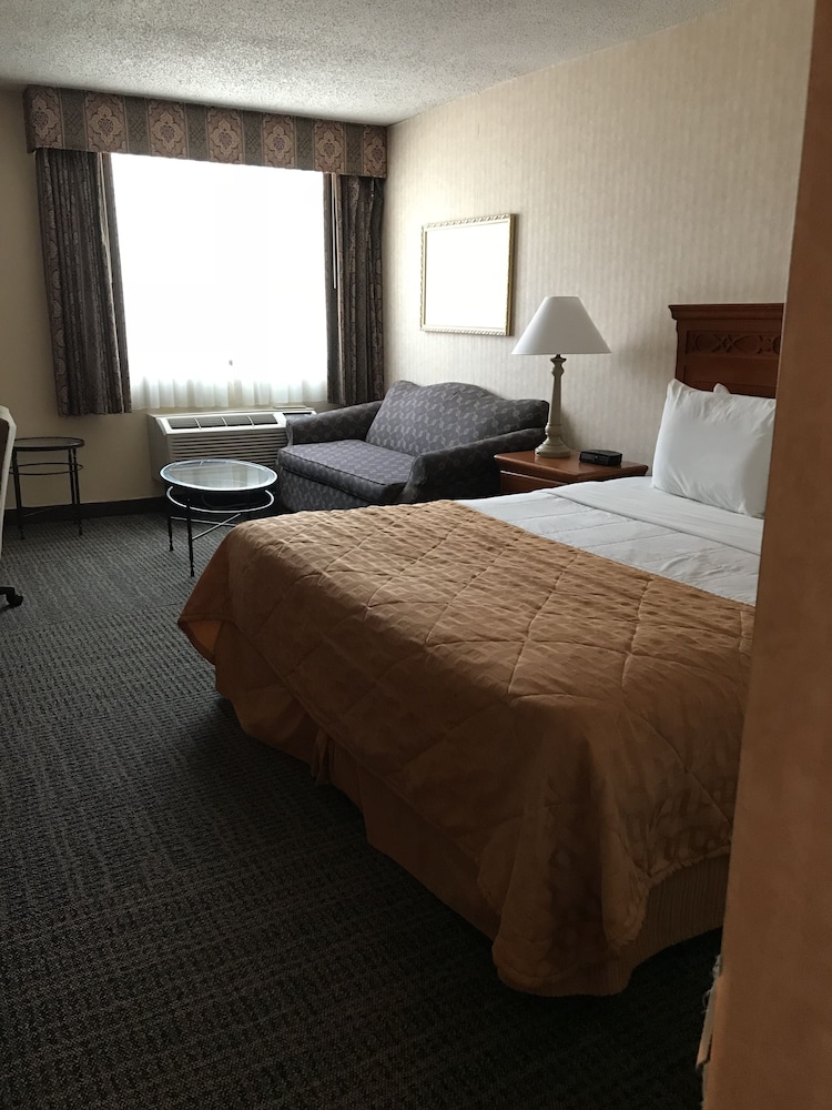Ramada Dallas North - photo 6