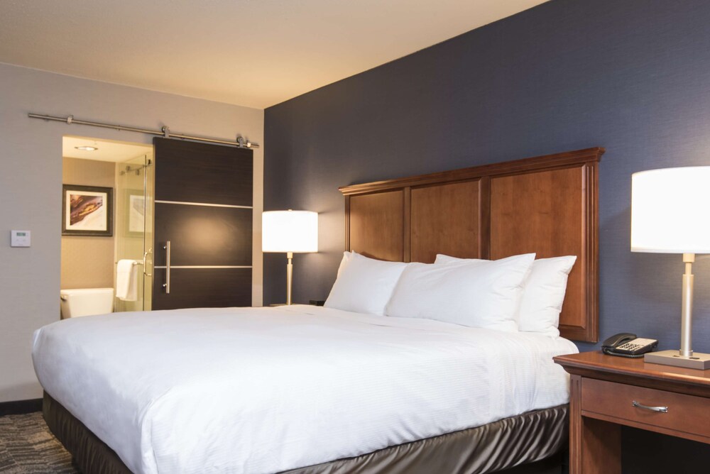 DoubleTree by Hilton Schenectady Downtown - photo 17