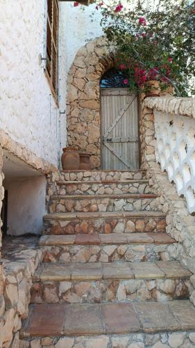 Rustic style apartment — Lampedusa — photo 2