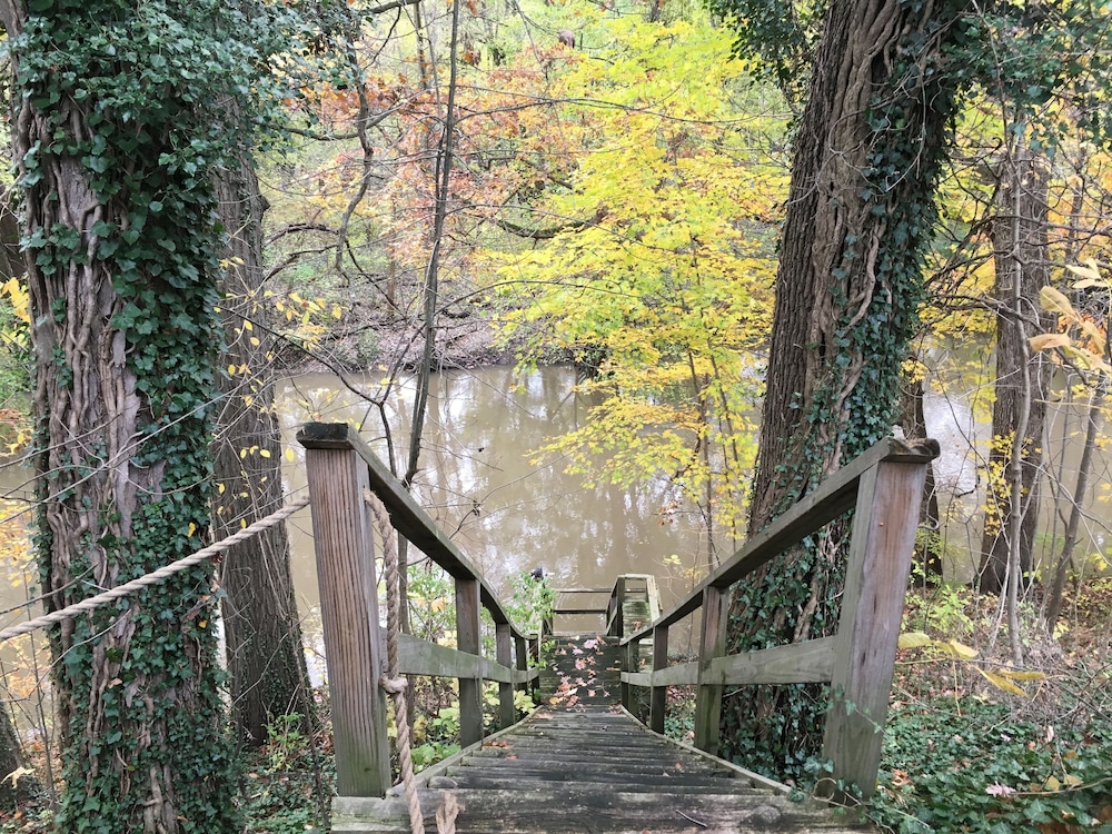 Goldberry Woods - photo 37