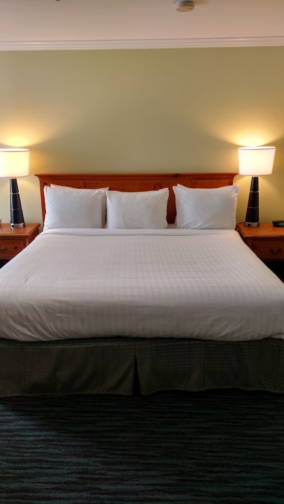 The University Inn at Emory - photo 6