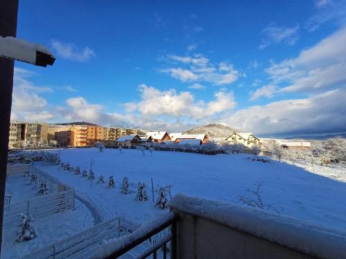 Apartament Ramonte — 4-Star Luxury Hotel in Zarnesti, Romania