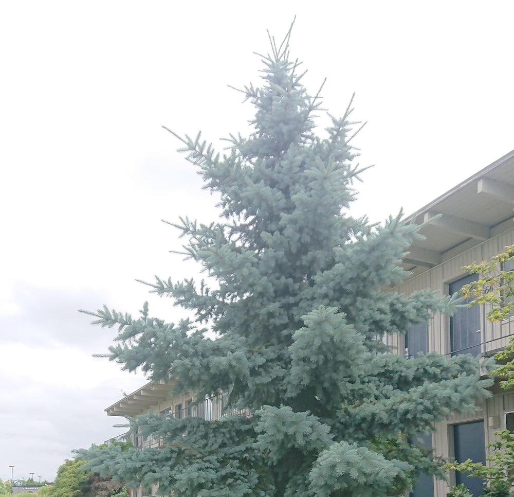 Cocusa Motel - photo 141