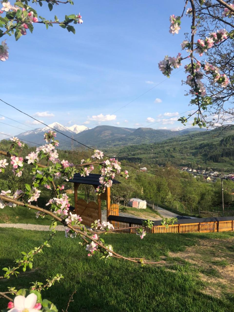Cabana Hatere in Moisei, Romania