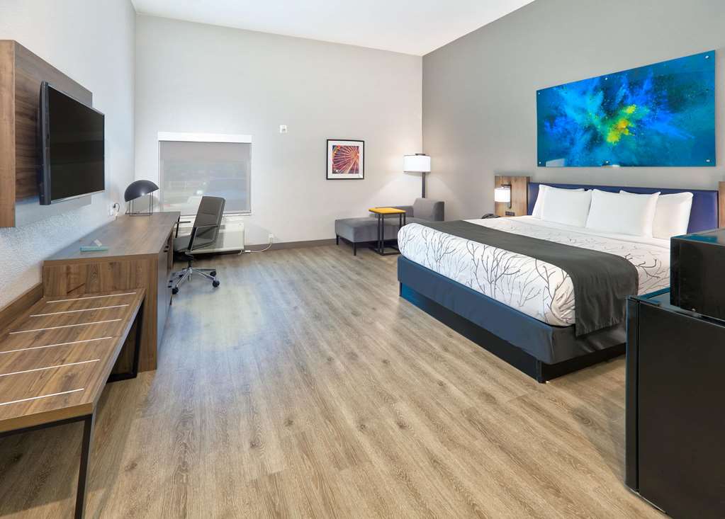 La Quinta Inn & Suites by Wyndham Dallas Fairpark - photo 29