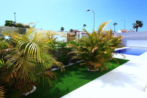 Villas Flamingo Resort — Adeje — photo 2