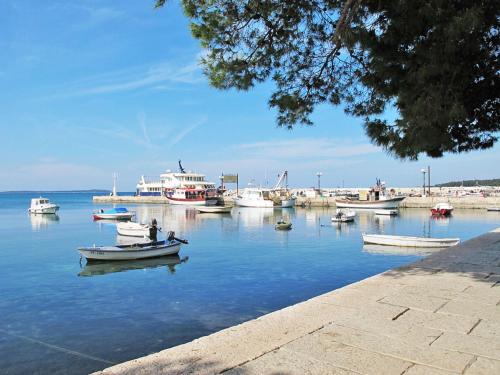 Villa Histria 1 by Interhome — 4-Star Luxury Hotel in Svetvincenat, Croatia