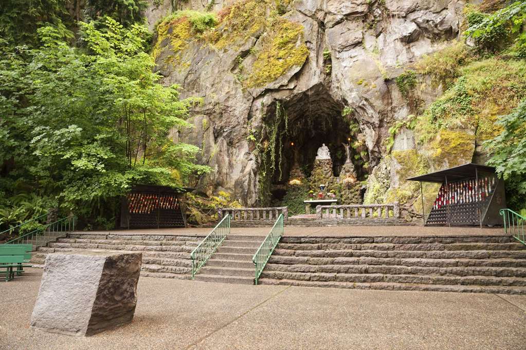 Super 8 by Wyndham Portland Airport - photo 3