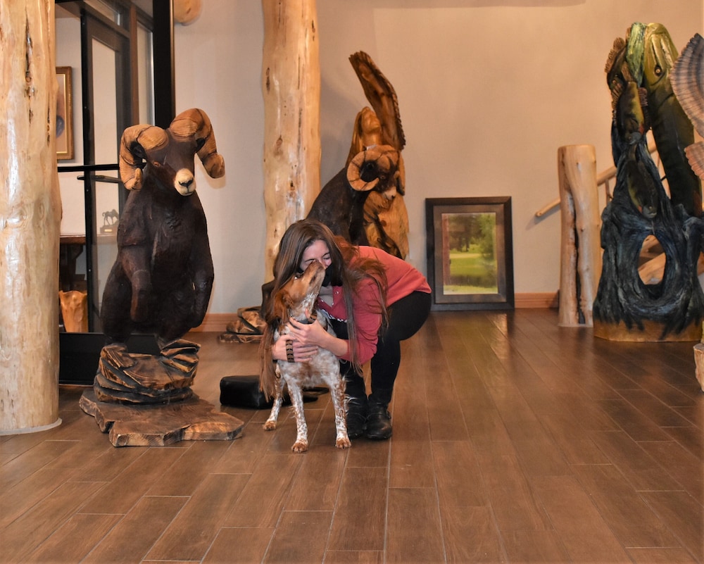 Venture Inn - photo 3