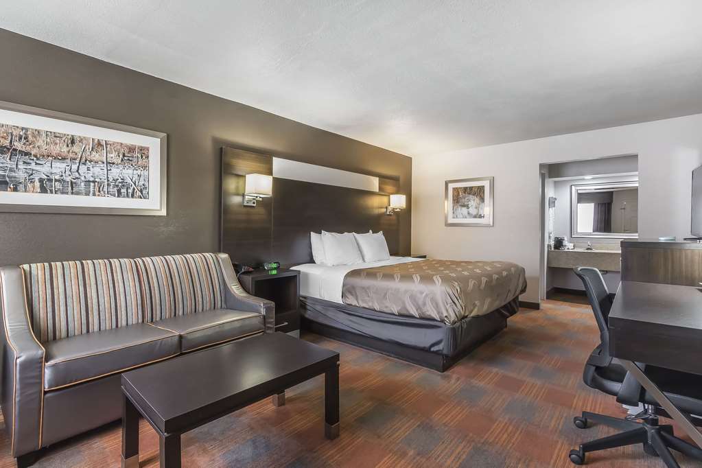 Quality Inn & Suites Stuttgart North - photo 18