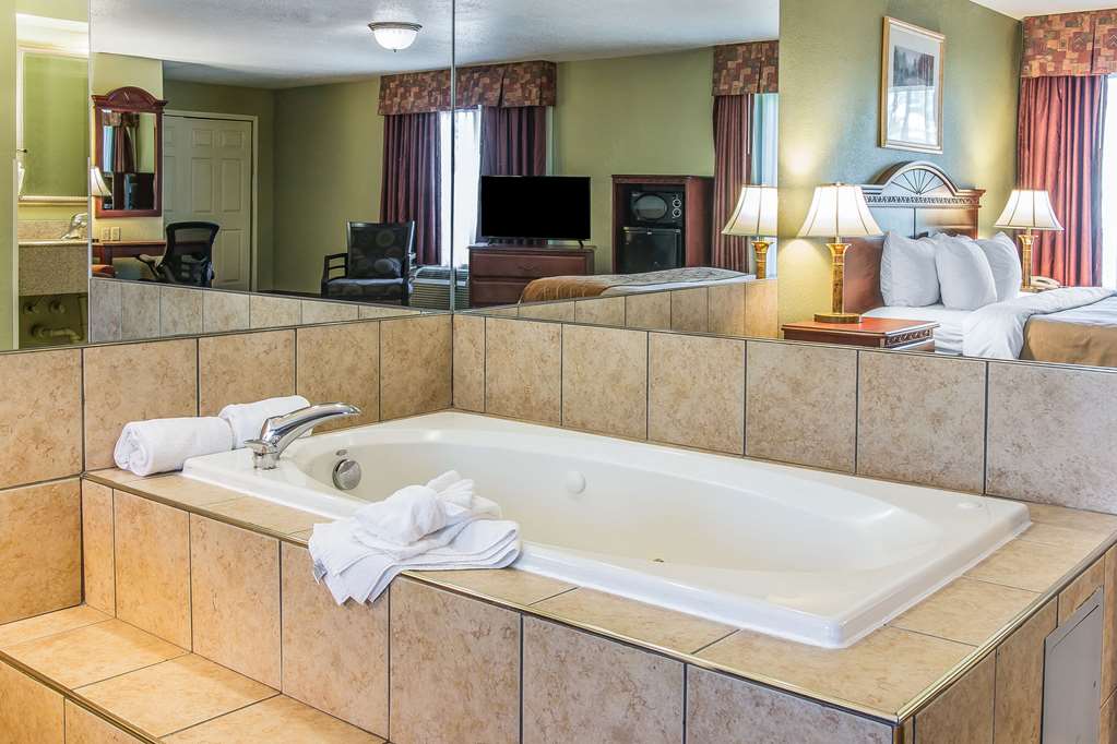 Quality Inn & Suites Ann Arbor Hwy 23 - photo 26