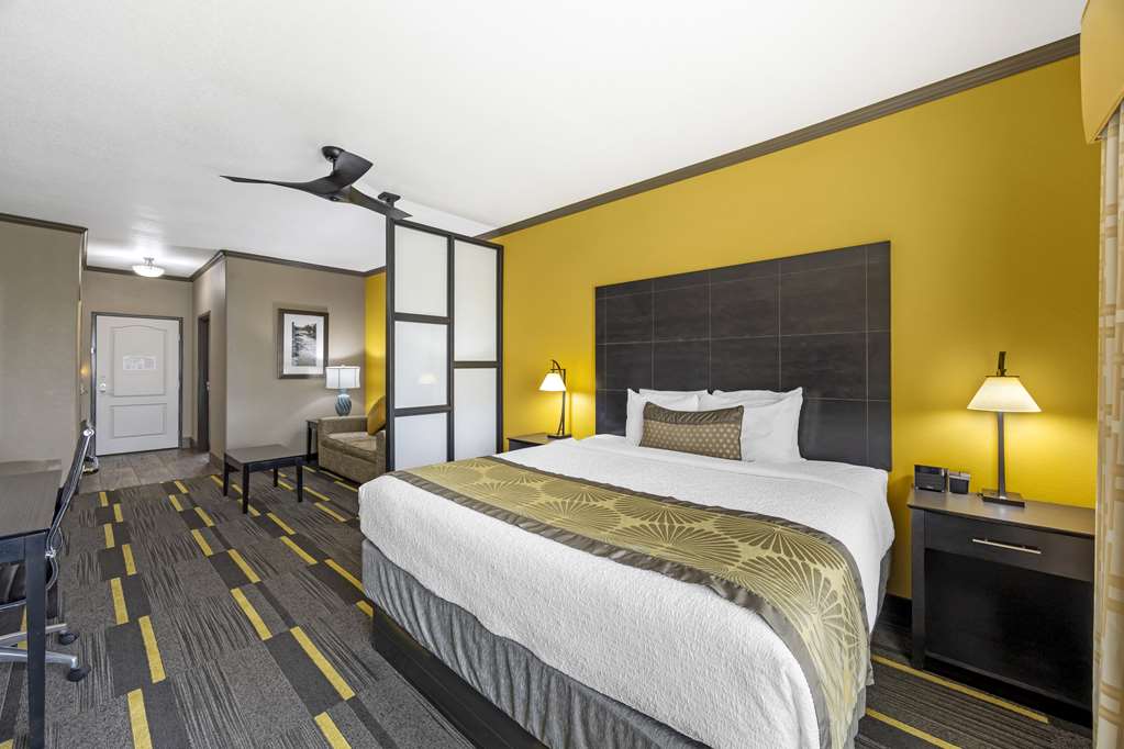Best Western Plus Emerald Inn & Suites - photo 16