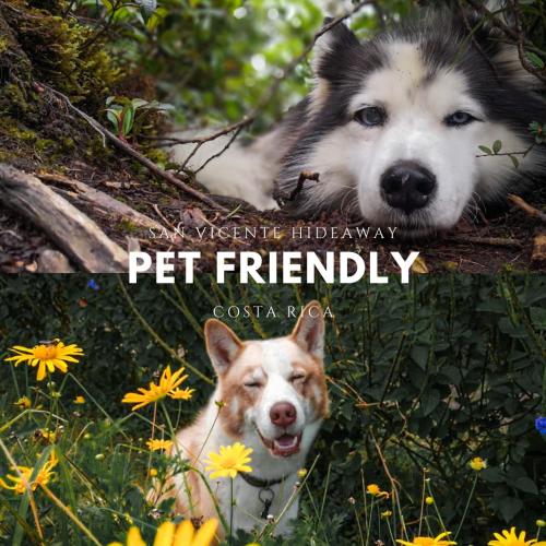 Hotel San Vicente Hideaway in Quesada, Costa Rica