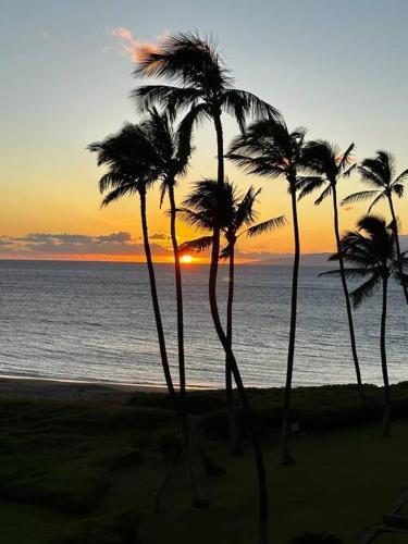 Beautiful Oceanfront AC In Each Room Sleeps 6 — 4-Star Luxury Hotel in Kihei, United States