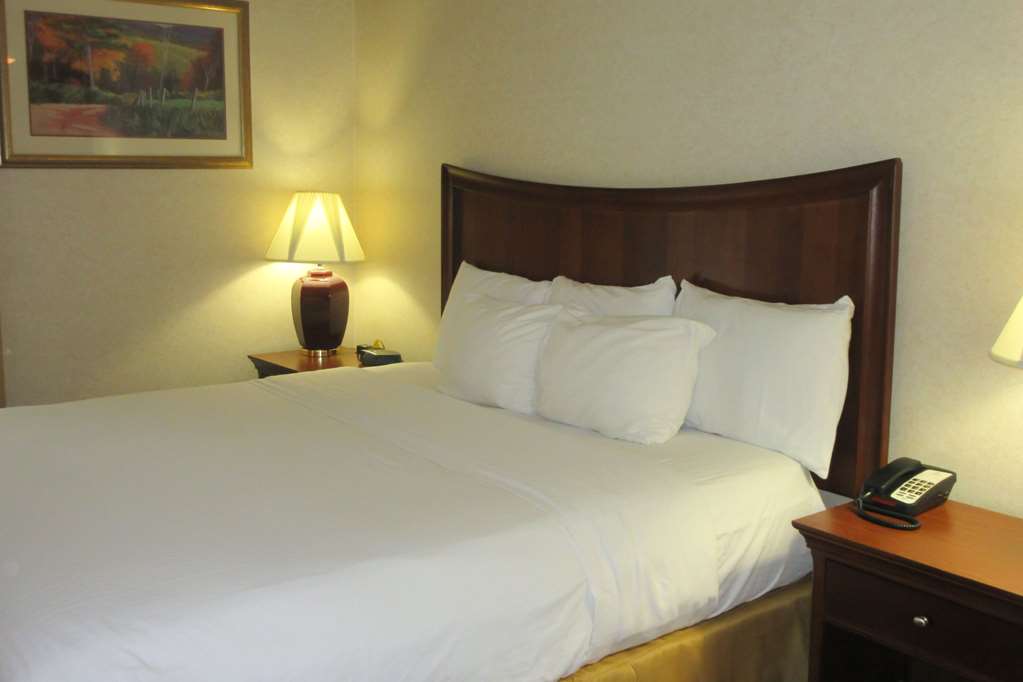 Quality Inn & Suites Owego - photo 2