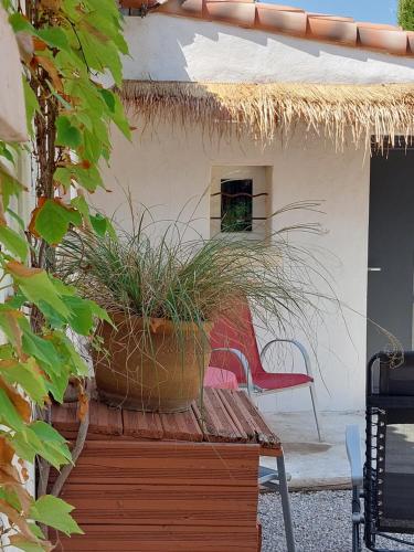 La Micocoule - carbon neutral hotel in Unknown City