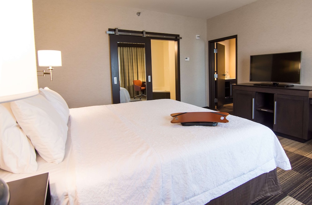 Hampton Inn Orange City - photo 6