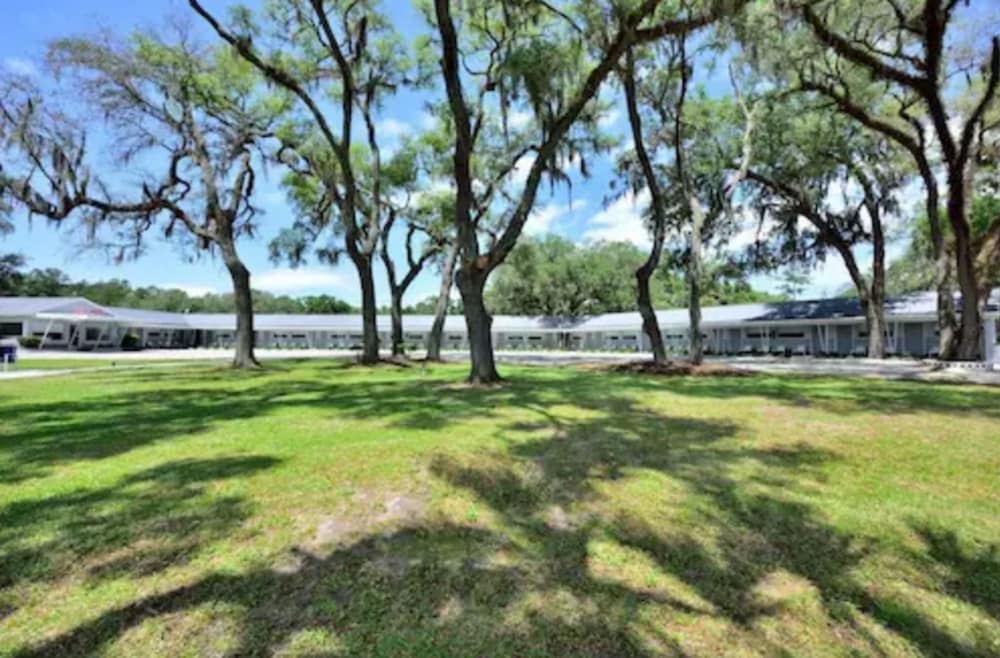 Sun Plaza Motel - photo 24