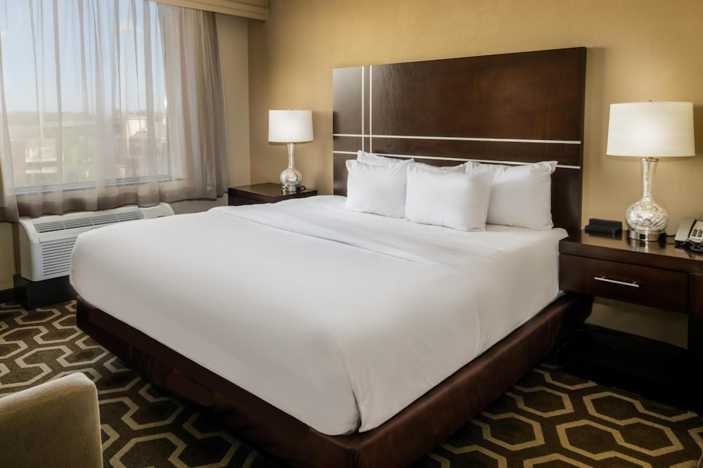 Hampton Inn by Hilton St. Louis Airport - photo 29