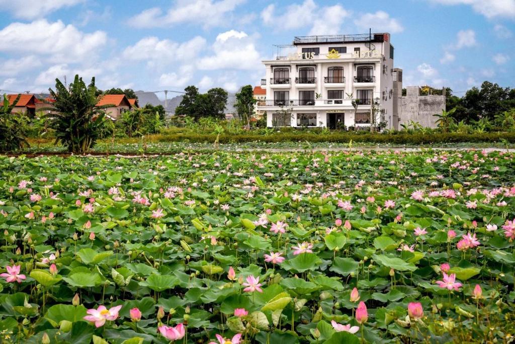 Lotus Hotel Ninh Bình in Ninh Binh, Vietnam