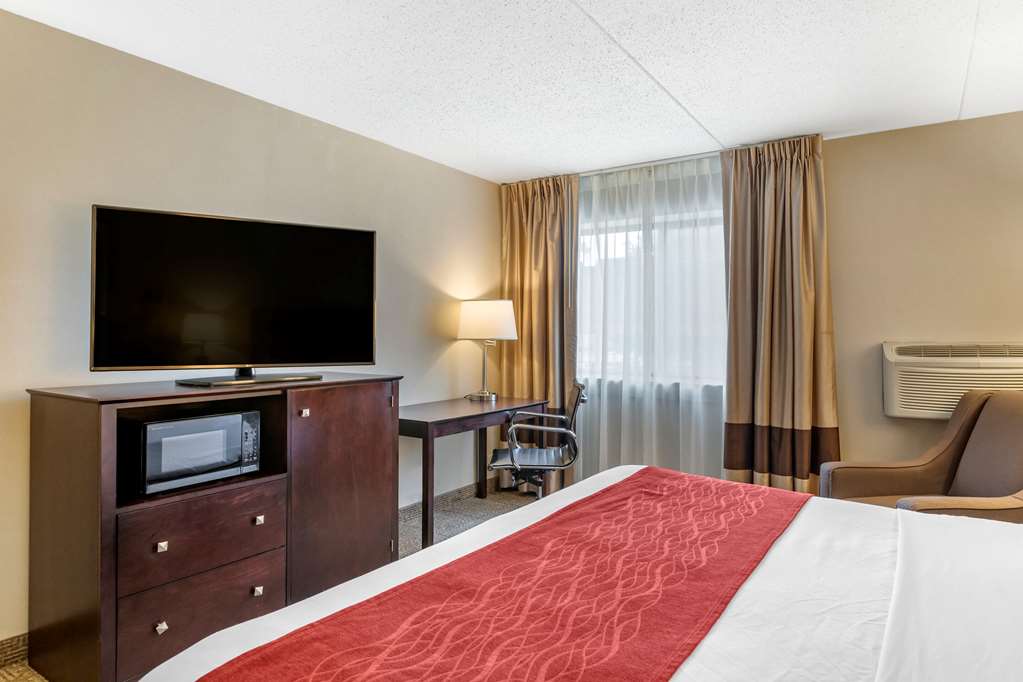 Comfort Inn Lansing West - photo 25